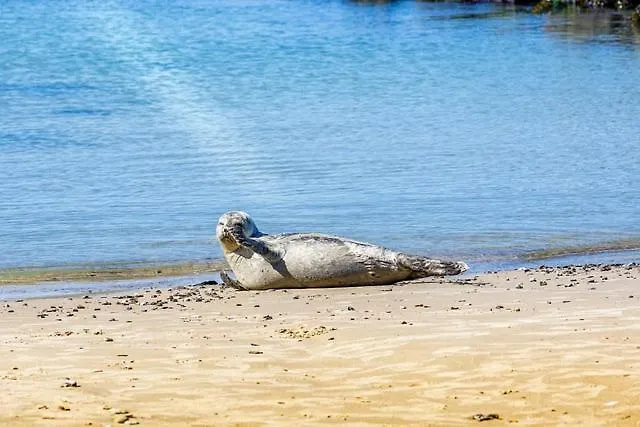 Dom wakacyjny Laekkert Ved Lonstrup Hjørring
